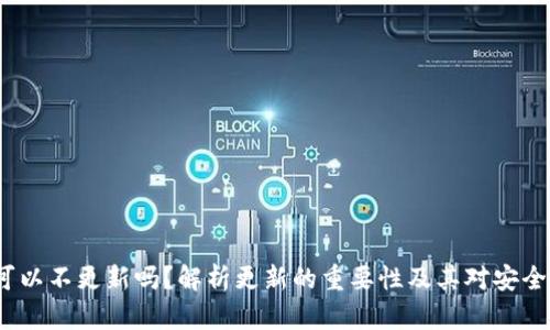  TP钱包可以不更新吗？解析更新的重要性及其对安全性的影响