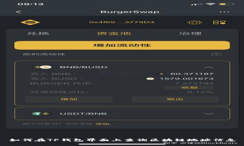 如何在TP钱包界面上查询区块链地址信息