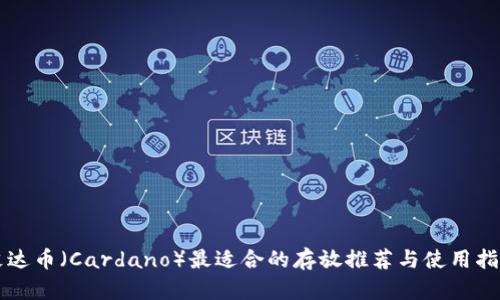 艾达币（Cardano）最适合的存放推荐与使用指南
